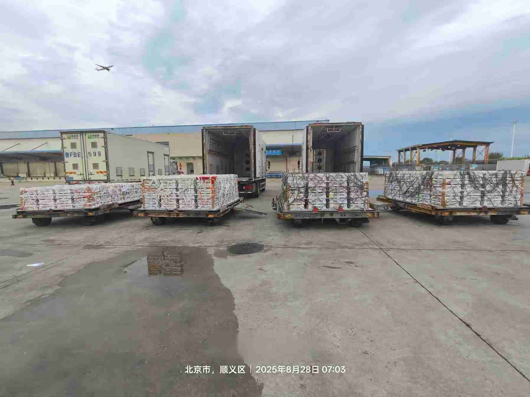 【引种】人生就是博股份年度引种突破16万套，市占率59%稳居行业龙头